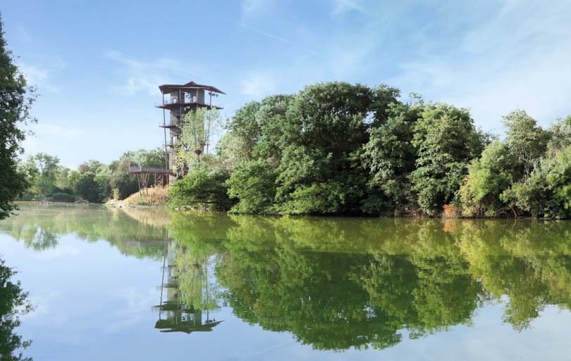 Parc des Oiseaux