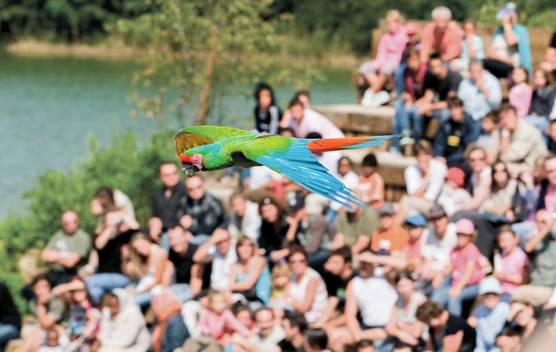 Parc des Oiseaux