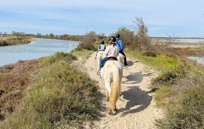 Que faire en Camargue