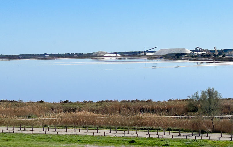 Que faire en Camargue