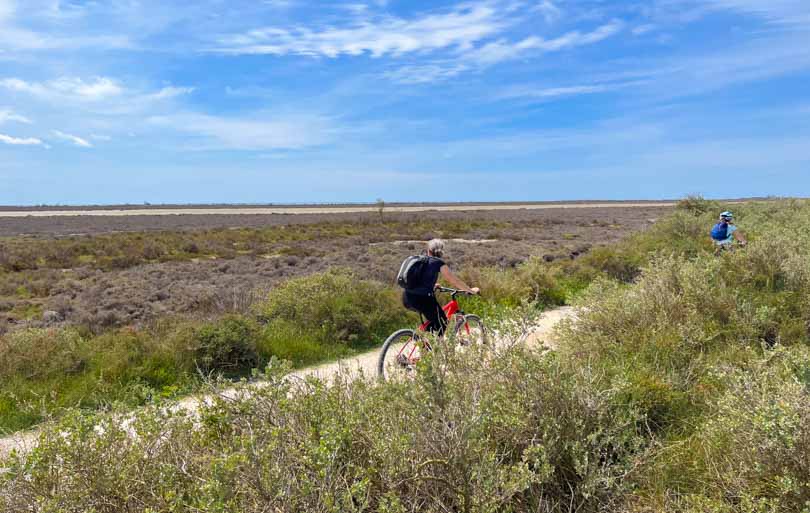 Que faire en Camargue