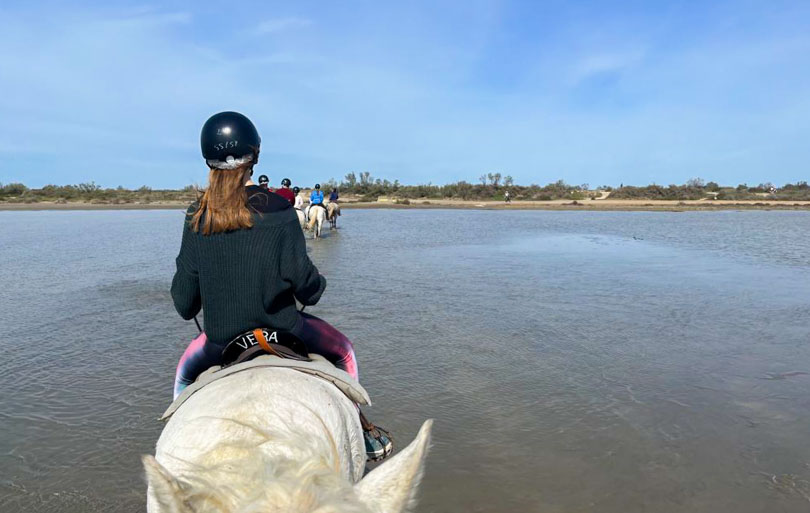 Que faire en Camargue