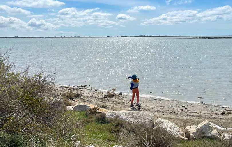 Que faire en Camargue