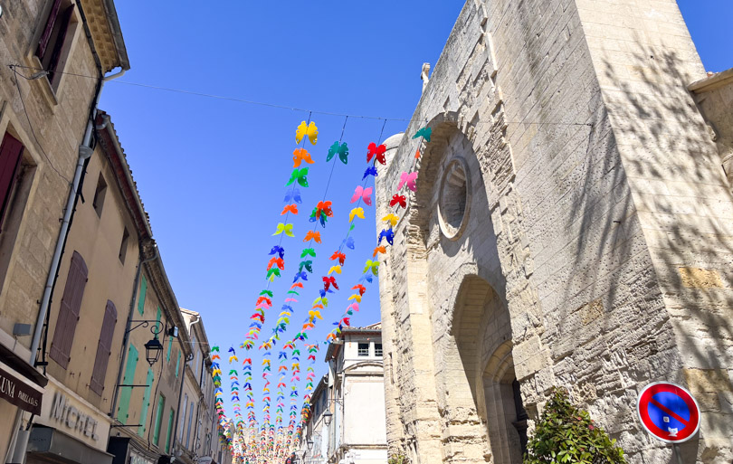 Que faire en Camargue