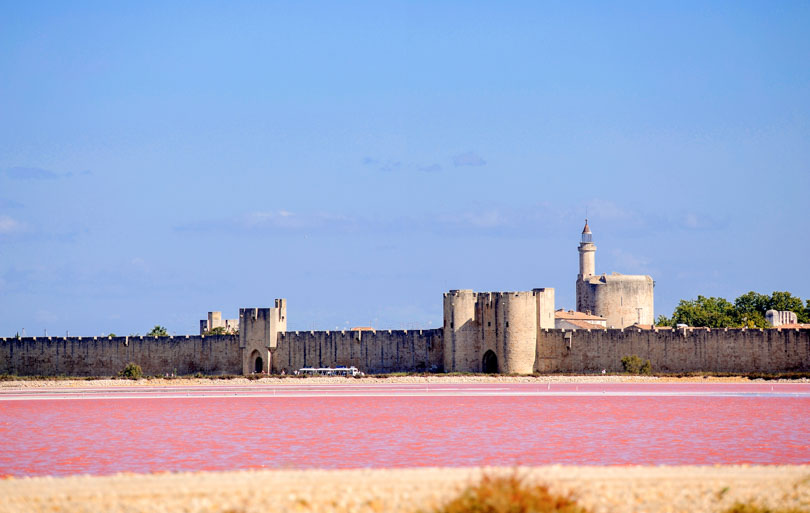 Que faire en Camargue