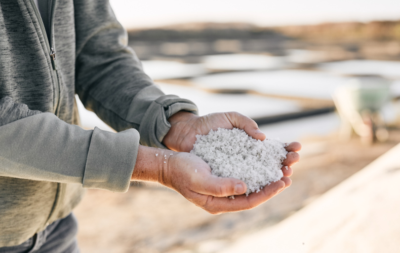 Visite marais salants de Guérande