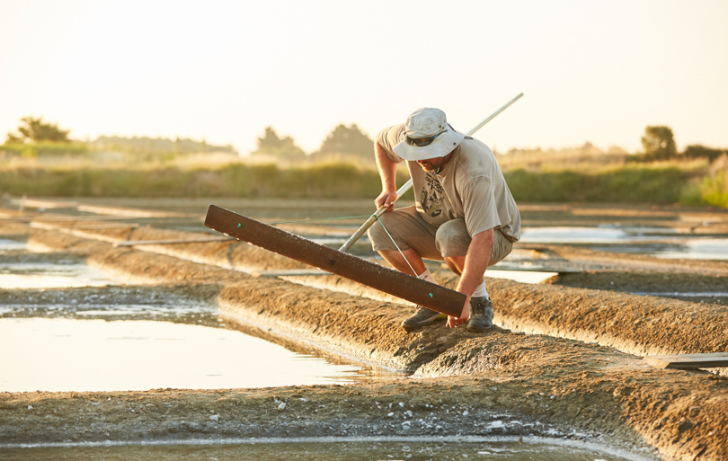 Visite marais salants de Guérande