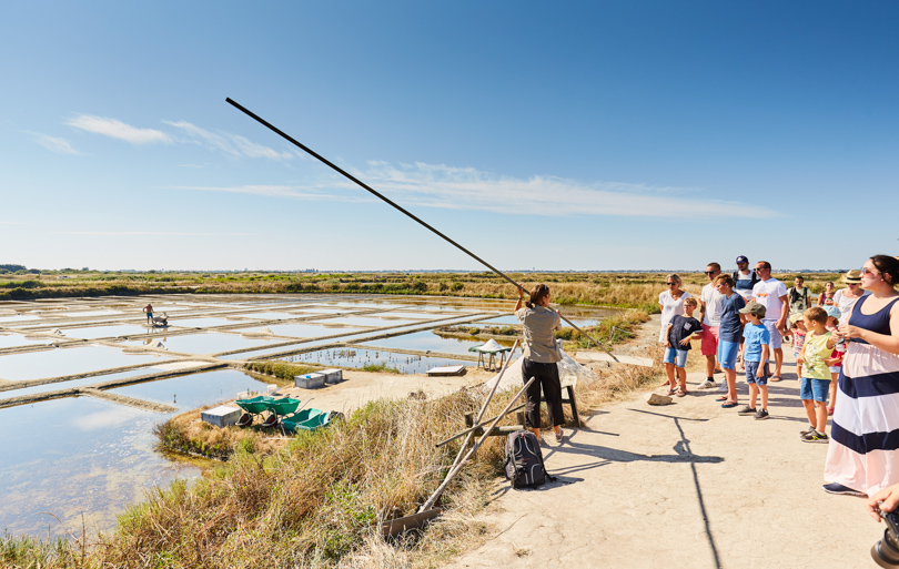 Visite marais salants de Guérande