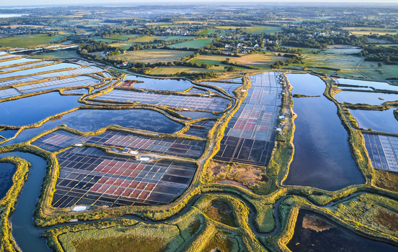 Visite marais salants de Guérande