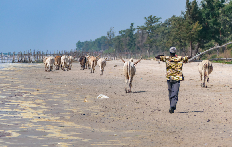 Visiter le Sénégal en famille