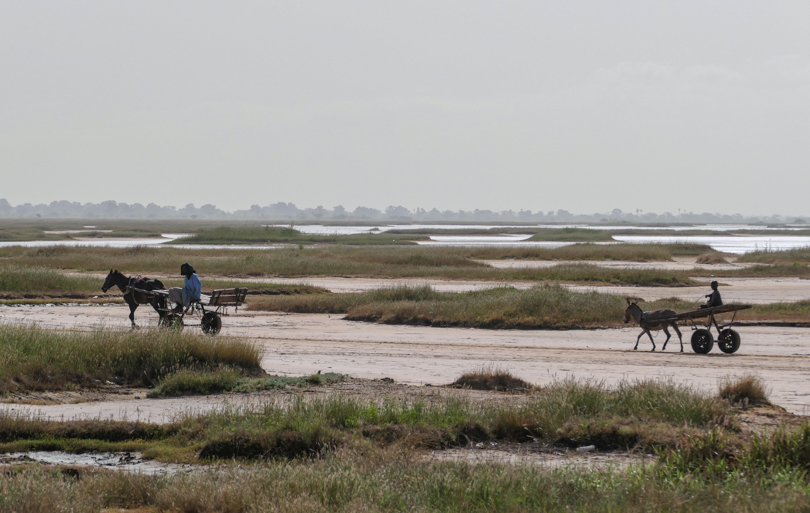 Visiter le Sénégal en famille