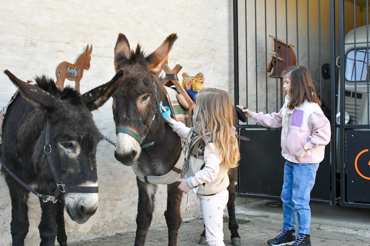 Week-end en Belgique en famille