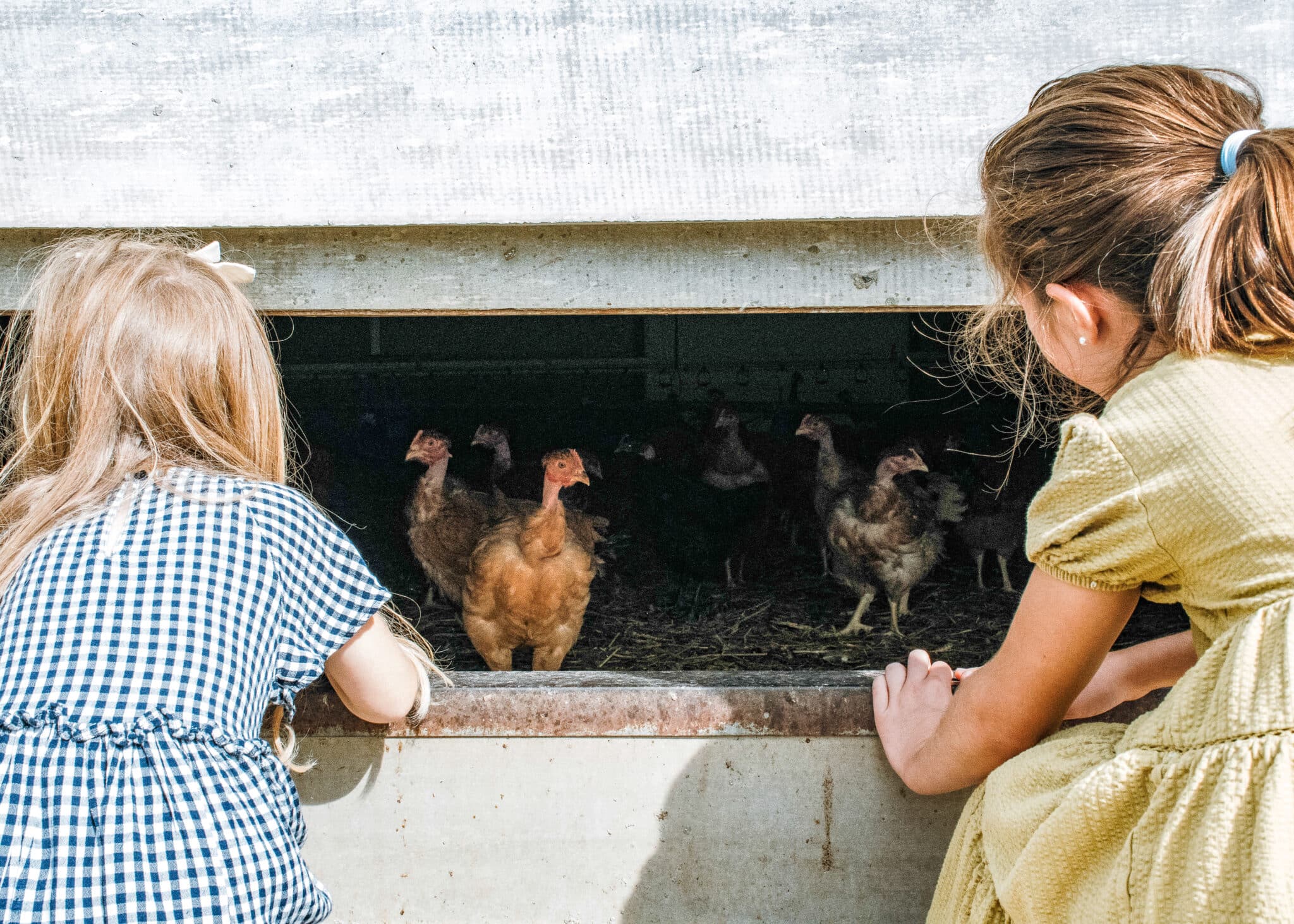 Séjour à la ferme unique avec Un Lit au Pré